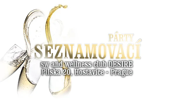 SEZNAMOVACÍ PÁRTY