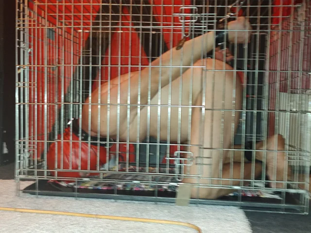 FEMDOM PARTY