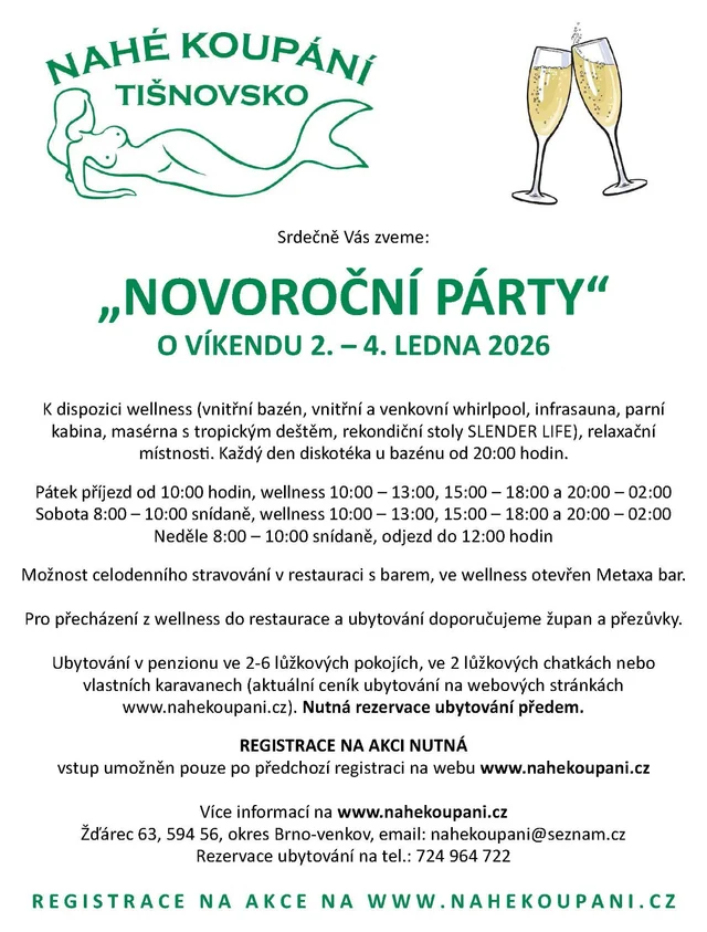 Novoroční párty
